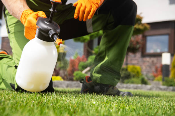 Best Rodent Control Near Me  in Sanborn, IA