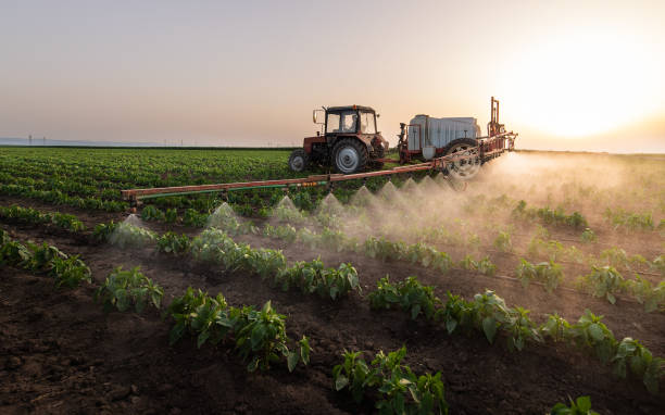 Best Best Pest Control Companies  in Sanborn, IA