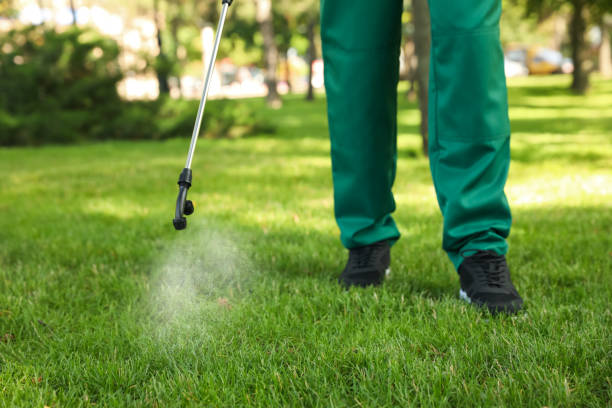 Best Rat Extermination Near Me  in Sanborn, IA