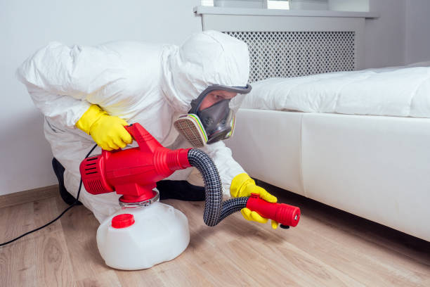 Best Termite Control Services  in Sanborn, IA
