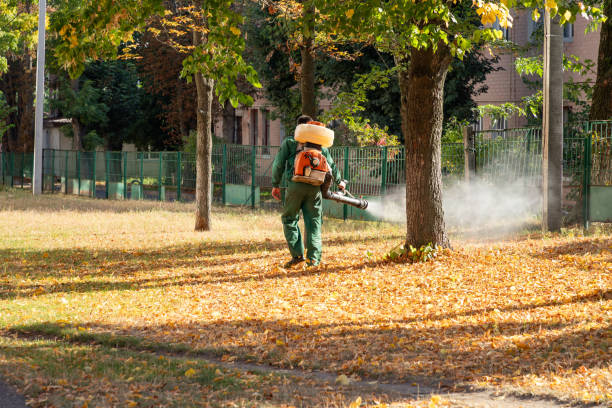 Best Flea Control Services  in Sanborn, IA