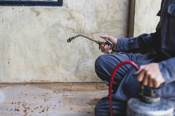 Professional Pest Control in Sanborn, IA