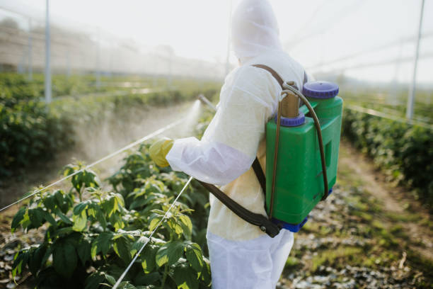 Best Mosquito Control Services  in Sanborn, IA